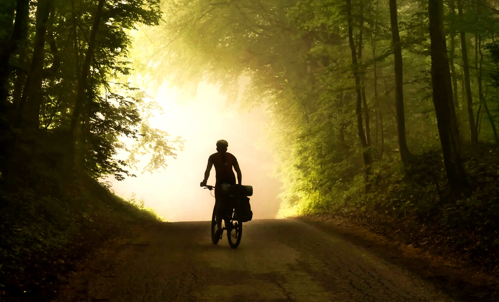 A person riding a bicycle near trees, illustrating the connection between exercise and sleep quality by promoting relaxation and reducing stress.